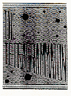 The Tetragrammaton Booklet Cover